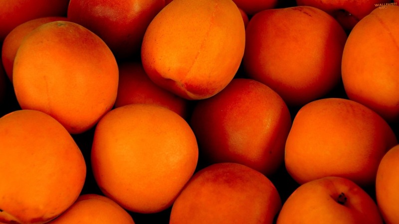Apricots fruit ripe 1920x1080 HD