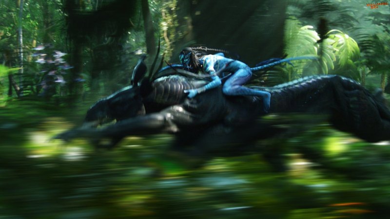 Avatar 3d 2009 movie screenshot 1080p 1920x1080 HD