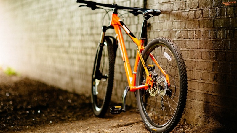 Bicycle 11 1600x900