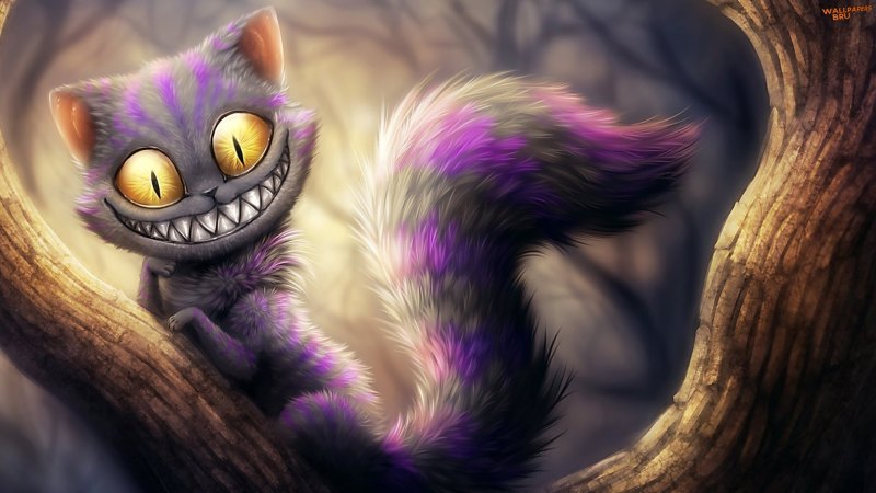 Cheshire cat alices adventures in wonderland 1080p 1920x1080 HD