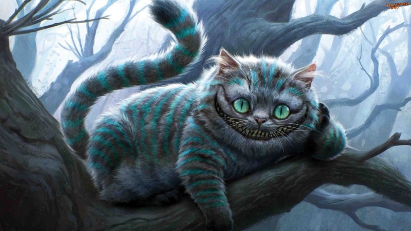 Cheshire cat artwork alice in wonderland 1080p 1920x1080 HD