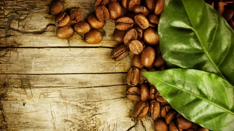Coffee beans and leaves 1920x1080
