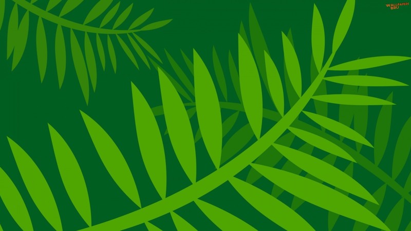 Jungle leaves vector art 1920x1080