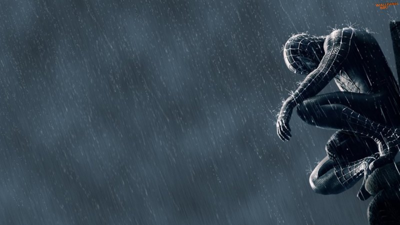 Spider man in the rain 1080p 1920x1080 HD