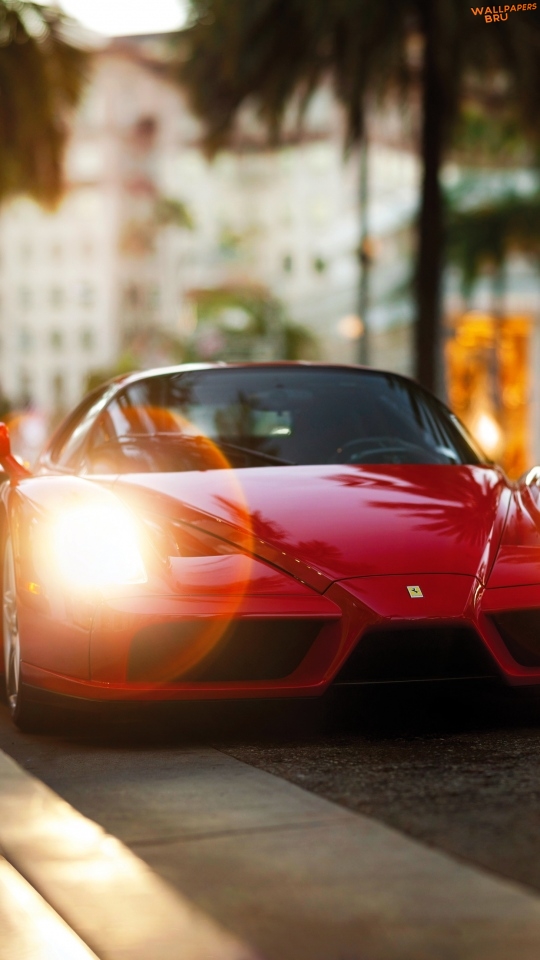 Ferrari enzo red side view