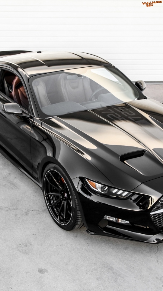 Ford mustang rocket black top view