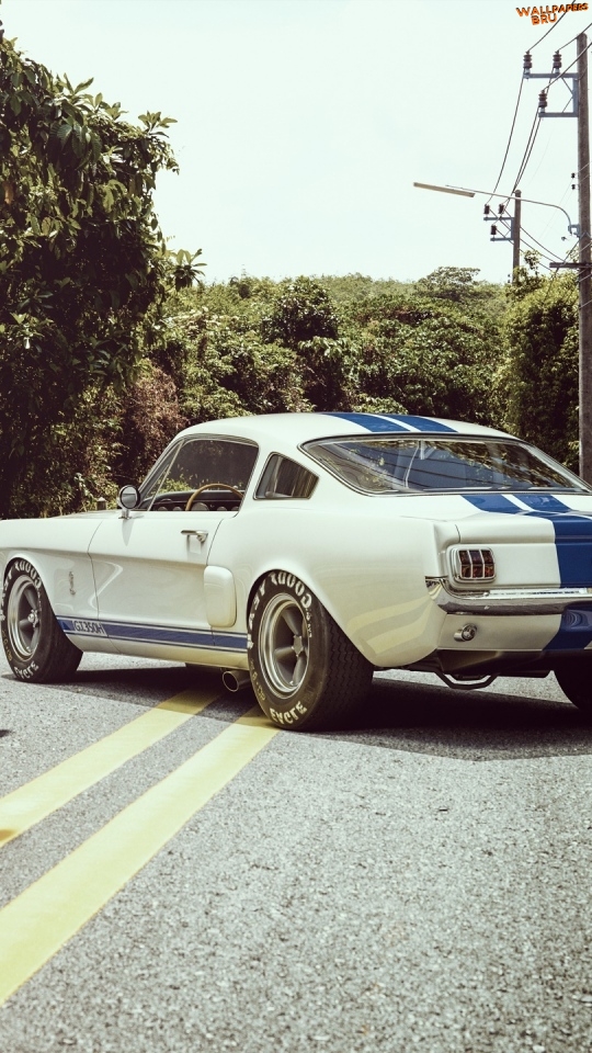 Ford shelby gtr muscle