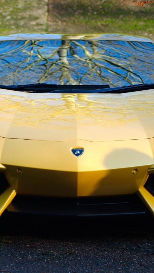 Lamborghini aventador lp yellow car front view