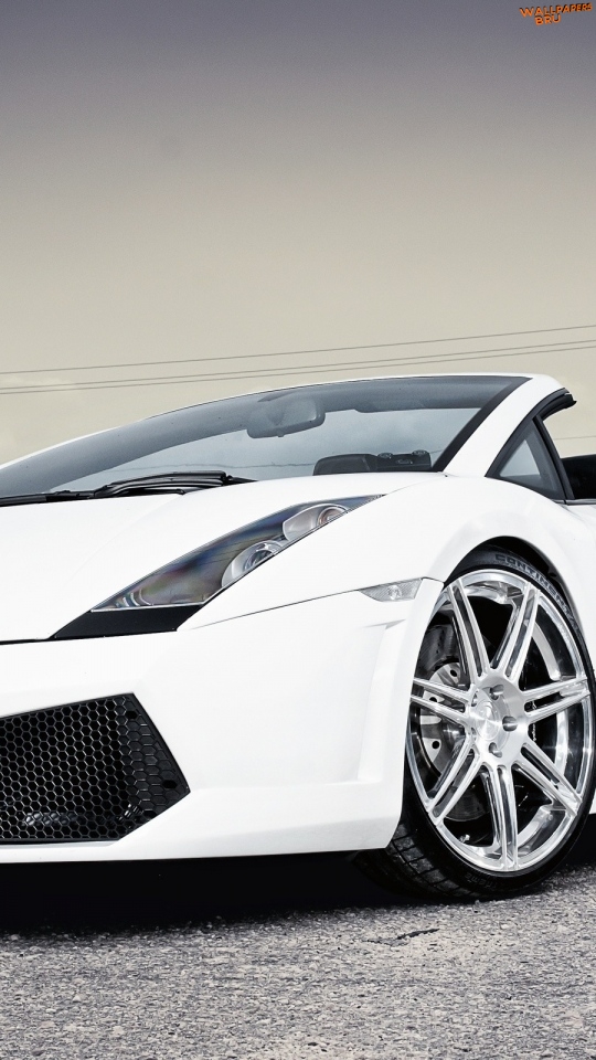 Lamborghini gallardo lamborghini white auto