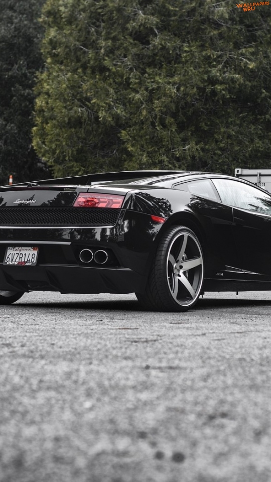 Lamborghini gallardo lp rear view black