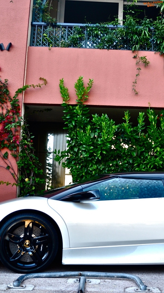 Lamborghini murcielago white side view